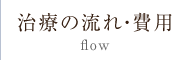 治療の流れ・費用