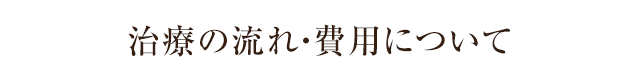 治療の流れ・費用について